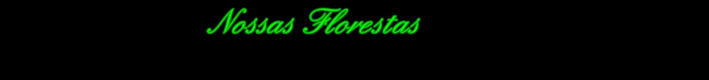 Floresta